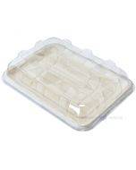 100% biodegradable/compostable tray with transparent lid 46x30x11cm, 5pcs/pack