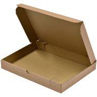 Corrugated carton box with lid 317x223x40mm