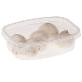 Transparent box for food with lid Greiner 350ml, 10pcs/pack